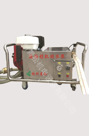 高扬程机动水泵